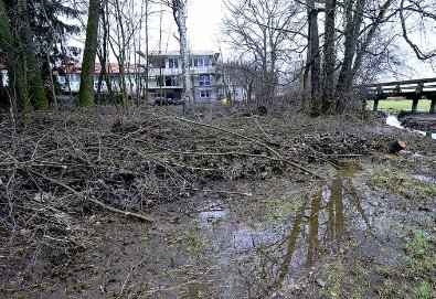 Bautrager Raumt Die Abholzaktion Ein Furth Nordbayern De
